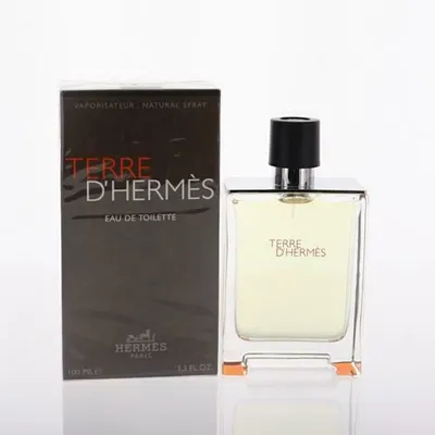 Terre D’Hermes by Hermes Spray 100ml